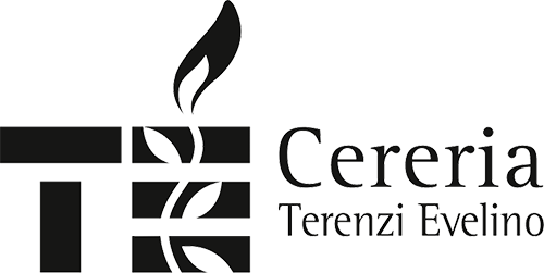 Desktop Logo